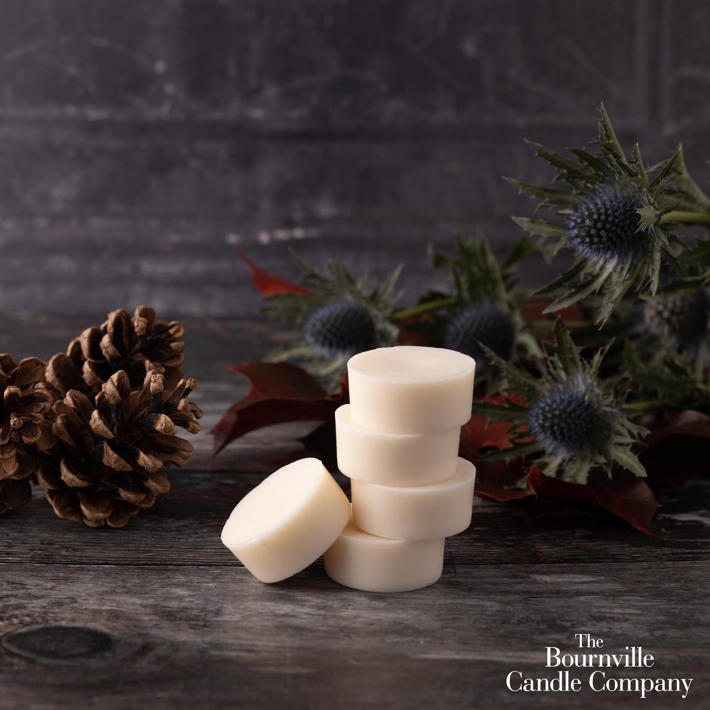 Cashmere and Winter Musk Wax Melts